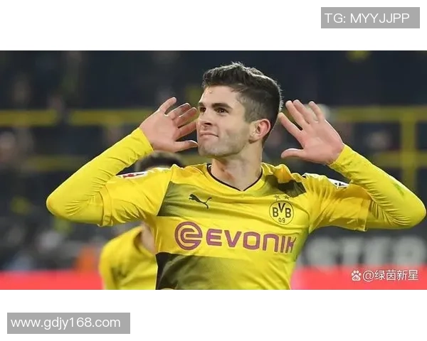 瑞士足球队代表球星介绍及其在国际赛场上的精彩表现分析