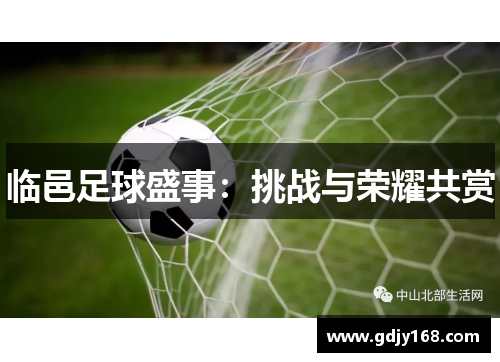 临邑足球盛事：挑战与荣耀共赏